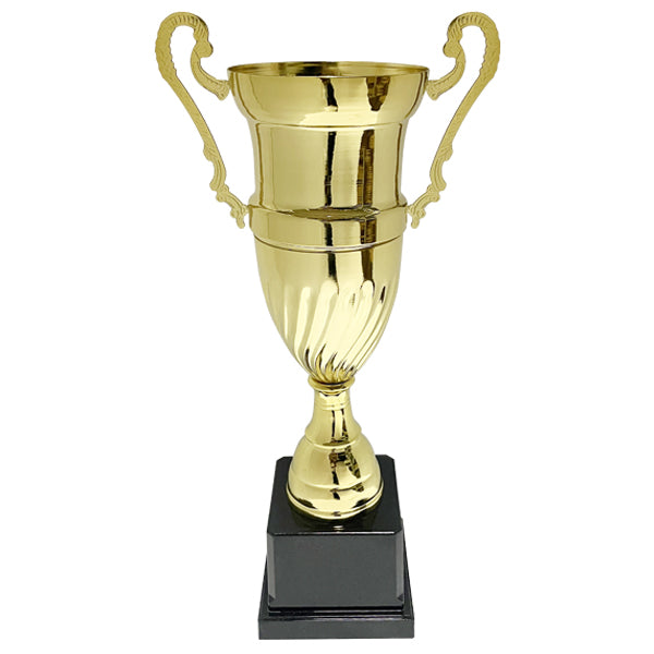Copa metálica 3025
