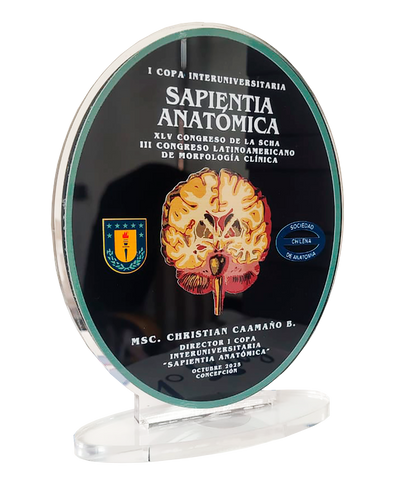 Trofeo Acrílico Personalizado