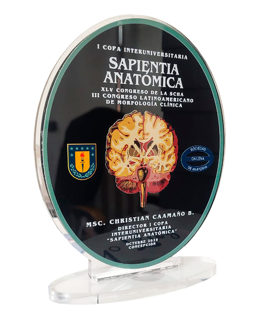 Trofeo Acrílico Personalizado