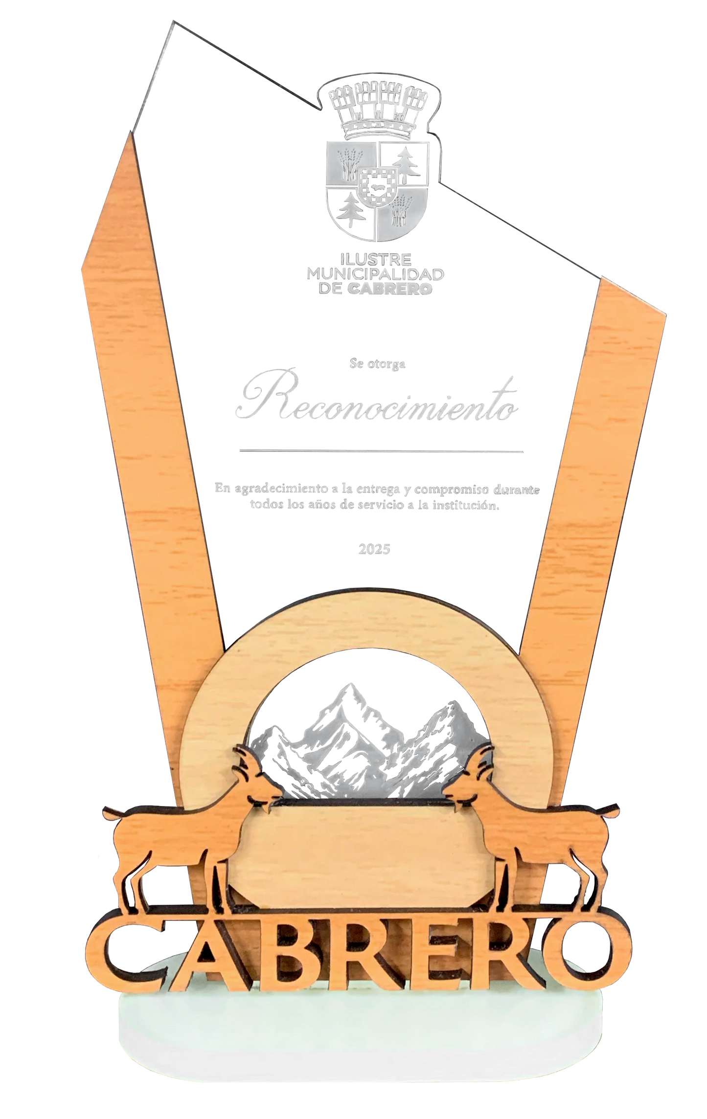 Trofeo Acrílico Personalizado