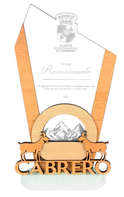 Trofeo Acrílico Personalizado