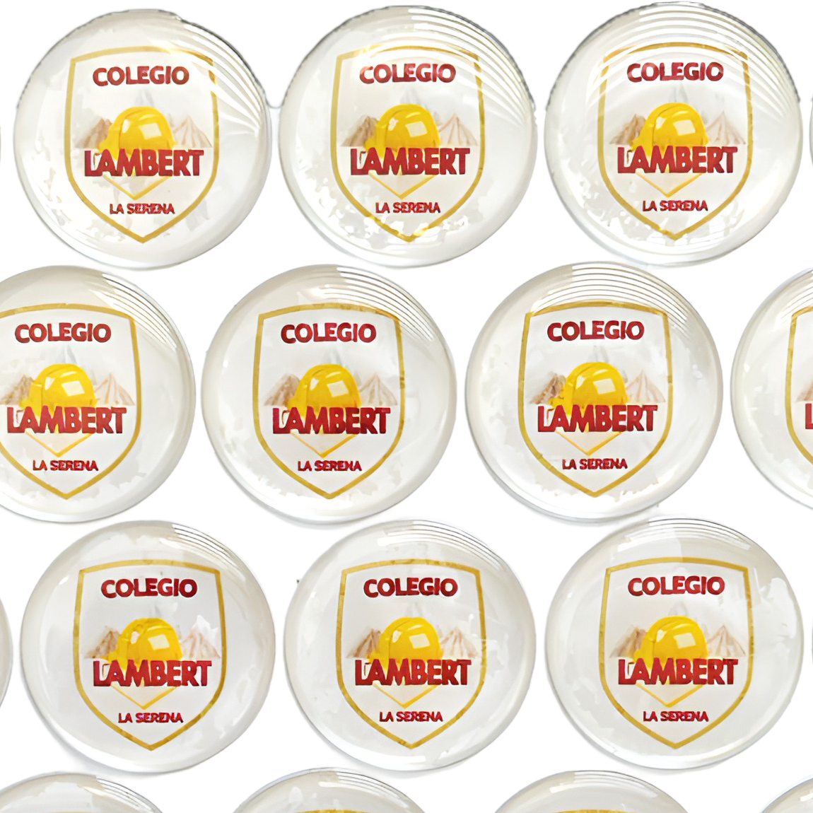 Logo a color con resina (Dome) de protección. 2,5 cms de diámetro. Pack de 54 piezas.