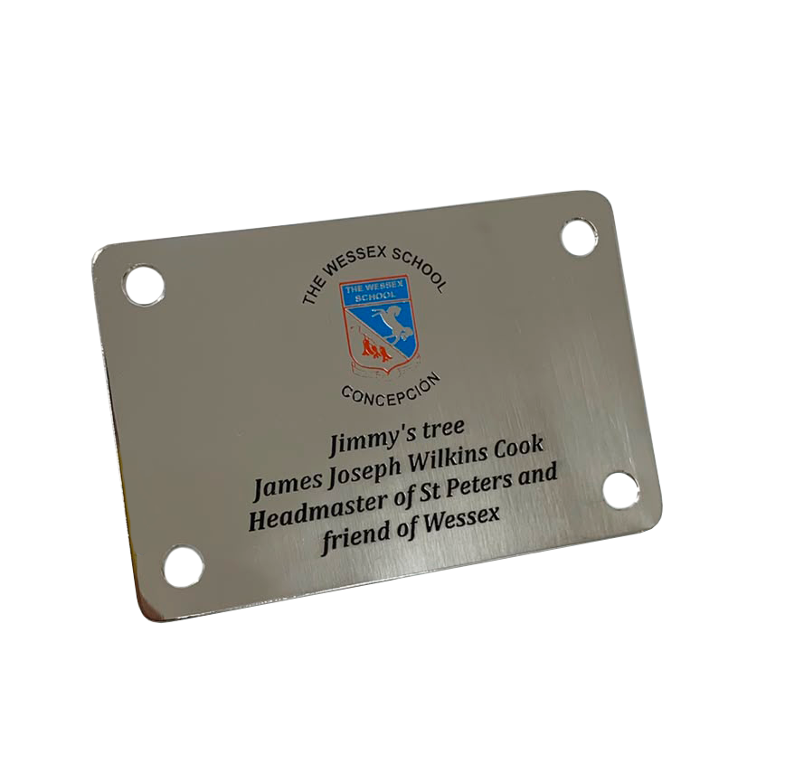 Placa de Acero Inoxidable 40 x 30 cm.