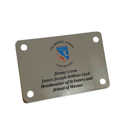 Placa de Acero Inoxidable 40 x 30 cm.