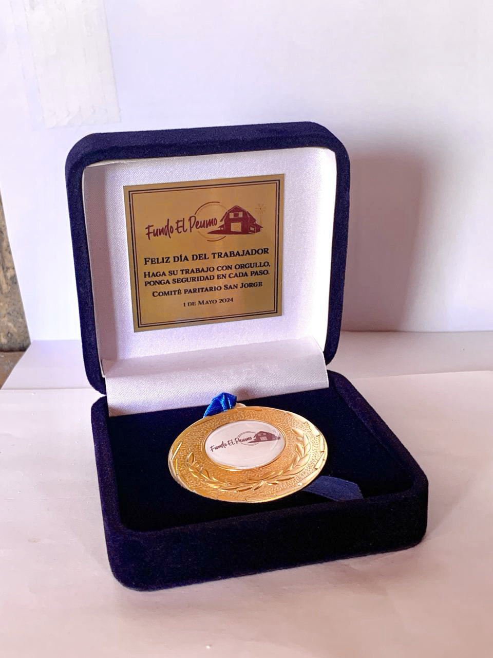 Medalla metálica genérica