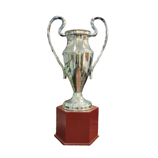 Copa Nacional Champion