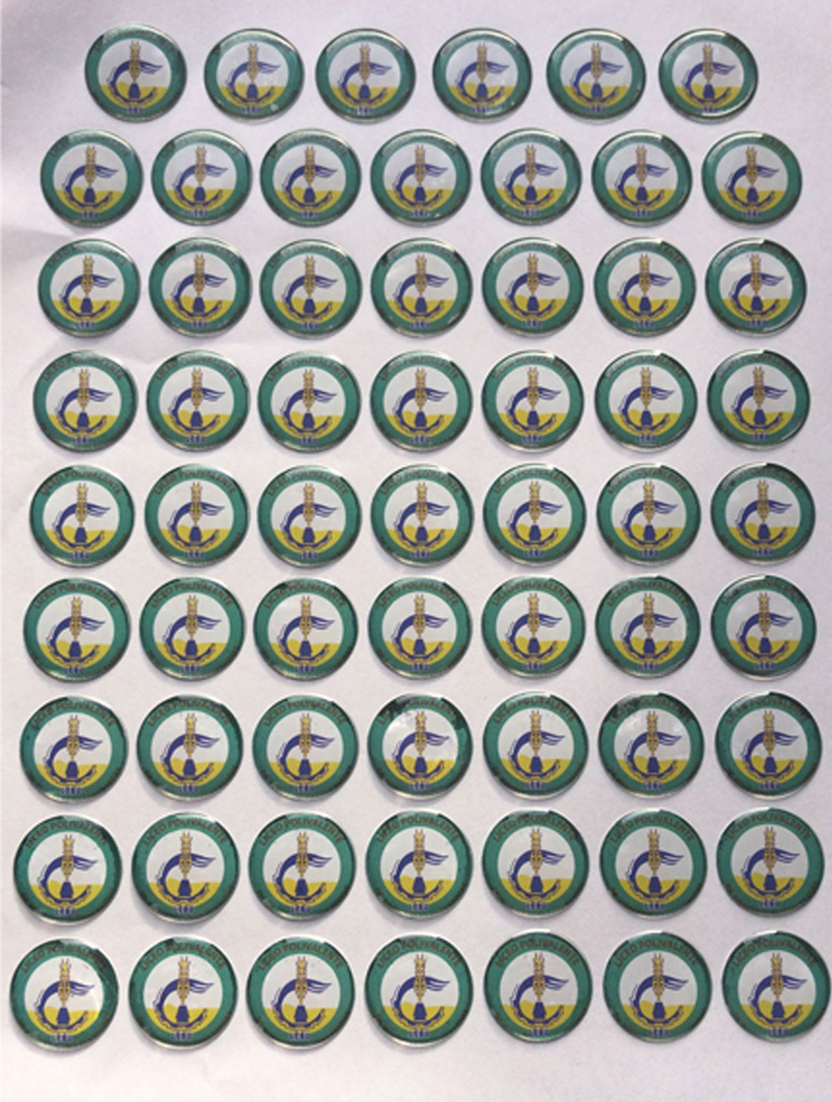 Logo a color con resina (Dome) de protección. 2,5 cms de diámetro. Pack de 54 piezas.